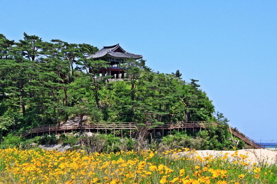 청간정_청간정`